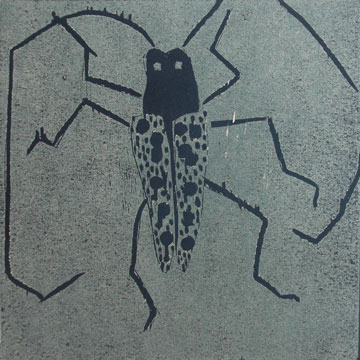 Kaefer, 2010     15 x 15 cm